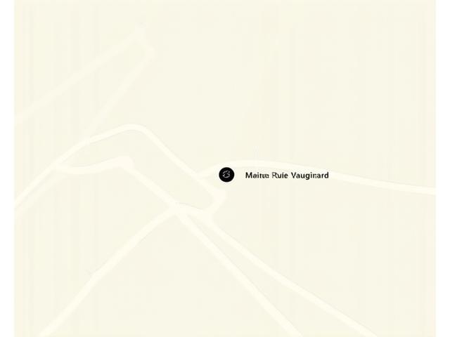Image d'une carte stylisée de Paris 15ème, signalant l'emplacement des bureaux de Pulsaralythron77.